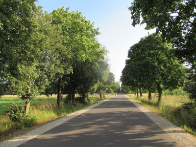 Na sprzedaż działka budowlana - Rakowo -
wielkopolskie Zdjęcie nr 4