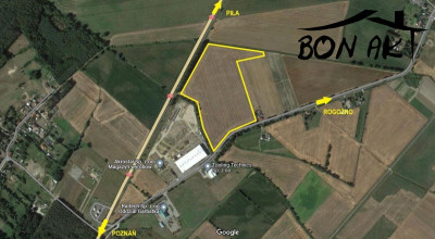 Na sprzedaż działka przemysłowa - Rogoźno -
wielkopolskie Zdjęcie nr 3