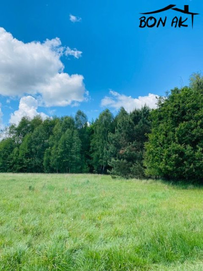 Na sprzedaż działka rolna - Kaziopole - wielkopolskie