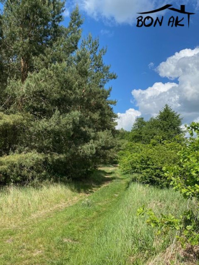 Na sprzedaż działka rolna - Kaziopole -
wielkopolskie Zdjęcie nr 2