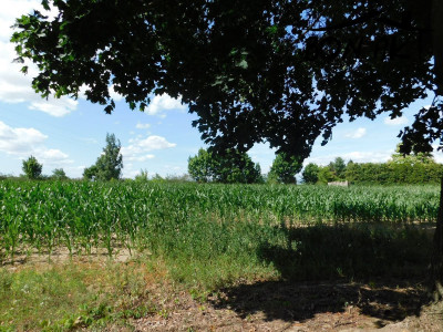 Na sprzedaż działka budowlana - Kaźmierz - wielkopolskie