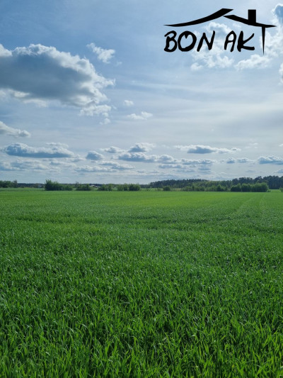 Na sprzedaż działka budowlana - Grudna - wielkopolskie