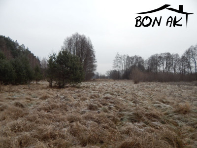 Na sprzedaż działka rolna - Siercz -
lubuskie Zdjęcie nr 2