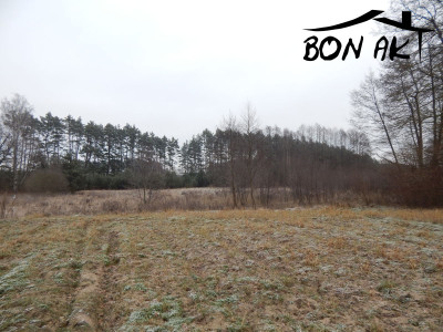 Na sprzedaż działka rolna - Siercz -
lubuskie Zdjęcie nr 3