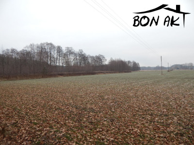 Na sprzedaż działka rolna - Siercz -
lubuskie Zdjęcie nr 6