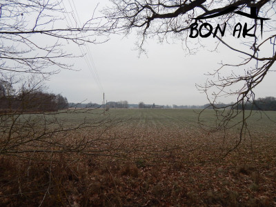 Na sprzedaż działka rolna - Siercz -
lubuskie Zdjęcie nr 7