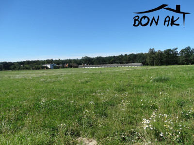 Na sprzedaż działka budowlana - Radzyny -
wielkopolskie Zdjęcie nr 5