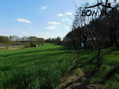 Na sprzedaż działka rolna - Buszewo -
wielkopolskie Zdjęcie nr 2