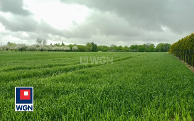 Działka  - Trębaczów  - lubelskie