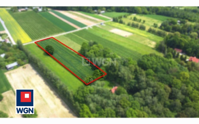 Działka  - Drzewce-Kolonia  -
lubelskie Zdjęcie nr 3