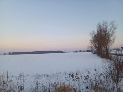 Atrakcyjna działka 5900m2 -
mazowieckie Zdjęcie nr 12