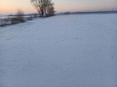 Atrakcyjna działka 5900m2 -
mazowieckie Zdjęcie nr 6