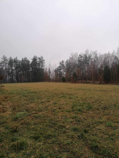 Mateusz Turczuk -
podlaskie Zdjęcie nr 2