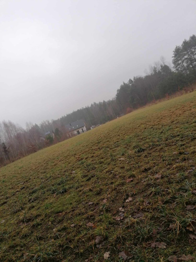 Mateusz Turczuk -
podlaskie Zdjęcie nr 3