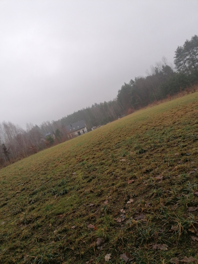 Mateusz Turczuk -
podlaskie Zdjęcie nr 7