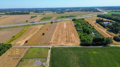 Działka 3000m2 Motycz Józefingm Konopnica - Motycz-Józefin  -
Lubelskie Zdjęcie nr 8