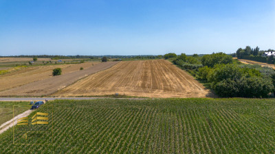 Działka budowlana z aktualnymi warunkami zabudowy - Motycz-Józefin  -
Lubelskie Zdjęcie nr 8