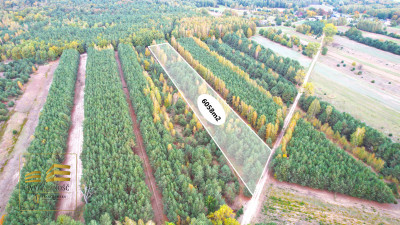 Zalesiona działka nad Firlejem - Stary Antonin  -
Lubelskie Zdjęcie nr 2