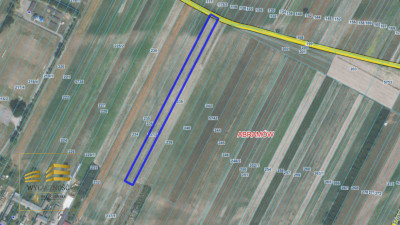 Działka rolna - Abramów  -
Lubelskie Zdjęcie nr 5