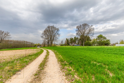 Działka rolna o pow 3900m2 w Płouszowicach - Płouszowice  -
Lubelskie Zdjęcie nr 14