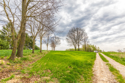 Działka rolna o pow 3900m2 w Płouszowicach - Płouszowice  - Lubelskie