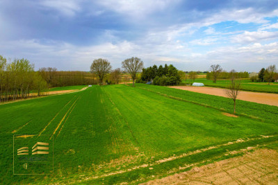 Działka rolna o pow 3900m2 w Płouszowicach - Płouszowice  -
Lubelskie Zdjęcie nr 2