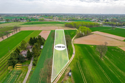 Działka rolna o pow 3900m2 w Płouszowicach - Płouszowice  -
Lubelskie Zdjęcie nr 3