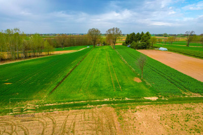 Działka rolna o pow 3900m2 w Płouszowicach - Płouszowice  -
Lubelskie Zdjęcie nr 4