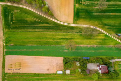 Działka rolna o pow 3900m2 w Płouszowicach - Płouszowice  -
Lubelskie Zdjęcie nr 9