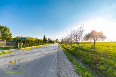 Działka 20 km od Lublina - Piotrkówek  -
Lubelskie Zdjęcie nr 5