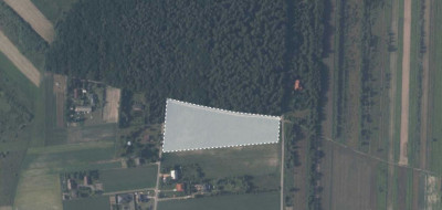 11 działek pod lasem nieruchomość inwestycyjna - Nowy Staw  -
Lubelskie Zdjęcie nr 2