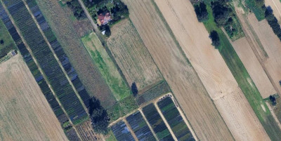 Działka budowlana w Tereszynie - Tereszyn  -
Lubelskie Zdjęcie nr 2