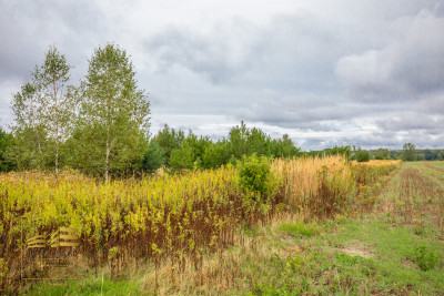 Działka pod zabudowę jednorodzinną w Wólce Krasien - Wólka Krasienińska  -
Lubelskie Zdjęcie nr 10
