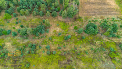 Działka pod zabudowę jednorodzinną w Wólce Krasien - Wólka Krasienińska  -
Lubelskie Zdjęcie nr 4