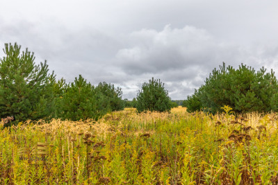 Działka pod zabudowę jednorodzinną w Wólce Krasien - Wólka Krasienińska  -
Lubelskie Zdjęcie nr 9