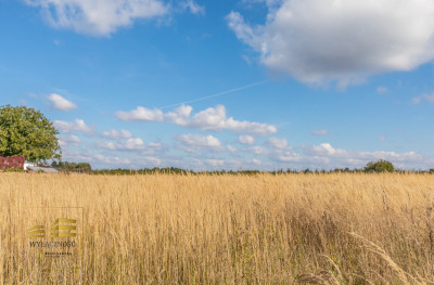Działka warunki na 2 budynki mieszkalne jednorodz - Motycz  -
Lubelskie Zdjęcie nr 13