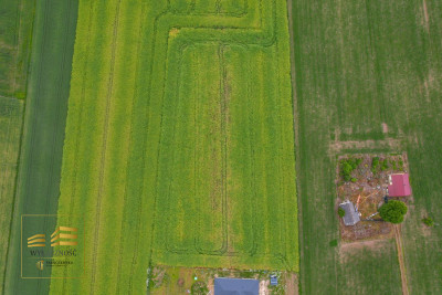 Działka budowlana Niedrzwica Duża - Niedrzwica Duża  -
Lubelskie Zdjęcie nr 6