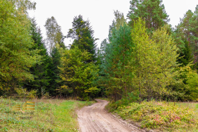 5 ha z domem na Roztoczu - Józefów  -
Lubelskie Zdjęcie nr 9