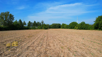 Działka DKL66 RM w Kalinówce ul Cyrkoniowa - Kalinówka  -
Lubelskie Zdjęcie nr 11