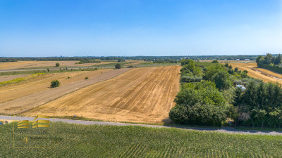 Działka pod budowę domu jednorodzinnego - Motycz-Józefin  -
Lubelskie Zdjęcie nr 4