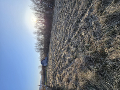 Na sprzedaż działka budowlana 1250m kwadratowych -
Świętokrzyskie Zdjęcie nr 9