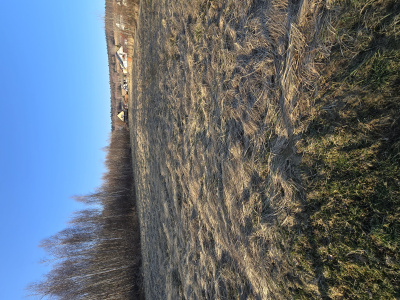 Na sprzedaż działka budowlana 1250m kwadratowych -
Świętokrzyskie Zdjęcie nr 8