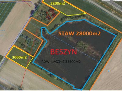 Piękna działka z własnym stawem - sprzedam - Beszyn - 532ha - Beszyn  -
kujawsko-pomorskie Zdjęcie nr 3