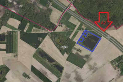 Piękna działka z własnym stawem - sprzedam - Beszyn - 532ha - Beszyn  -
kujawsko-pomorskie Zdjęcie nr 7