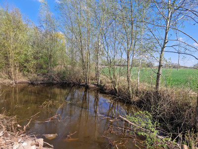 Działka - siedlisko w Arciszewie 205 ha gm Boniewo - Arciszewo  -
kujawsko-pomorskie Zdjęcie nr 2