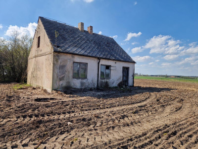Działka - siedlisko w Arciszewie 205 ha gm Boniewo - Arciszewo  -
kujawsko-pomorskie Zdjęcie nr 5
