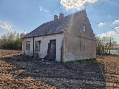 Działka - siedlisko w Arciszewie 205 ha gm Boniewo - Arciszewo  -
kujawsko-pomorskie Zdjęcie nr 7