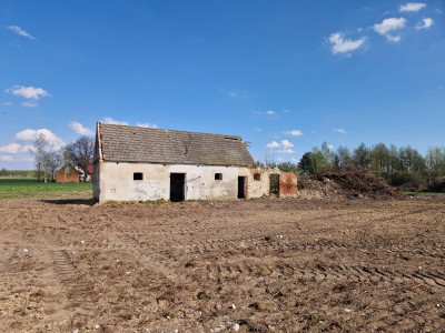 Działka - siedlisko w Arciszewie 205 ha gm Boniewo - Arciszewo  -
kujawsko-pomorskie Zdjęcie nr 8