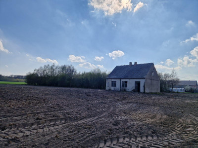 Działka - siedlisko w Arciszewie 205 ha gm Boniewo - Arciszewo  -
kujawsko-pomorskie Zdjęcie nr 9