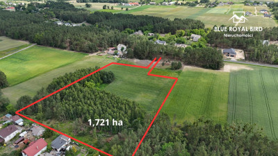 Działki na sprzedaż 17 ha pod zabudowę lub inwestycję MPZP - Ciechocinek  - kujawsko-pomorskie